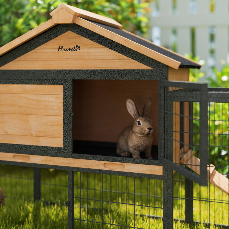 Weather Resistant Rabbit Hutch