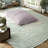 Cal King Modern Floral Bedding Sets, Soft Microfiber Comforter For Home