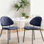 Ensemble de 4 chaises de salle à manger de style moderne Mid-Century avec dossier incurvé pour la cuisine de la salle à manger (bleu)