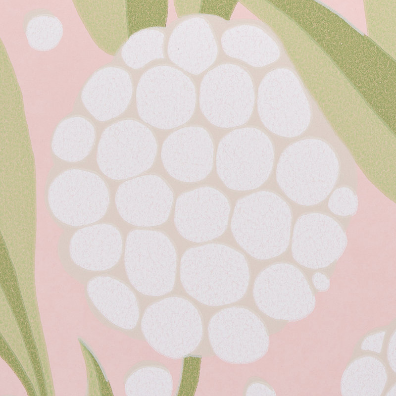 Rubus Wallpaper, Blush