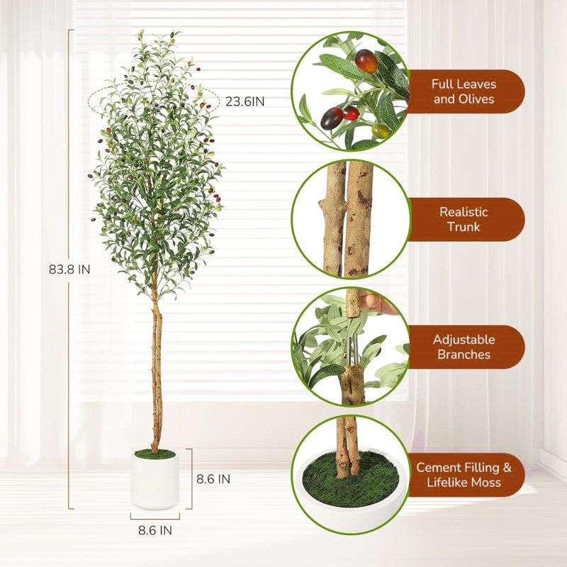 Olive Trees, H 83,8 po x l 8,6 po x P 8,6 po