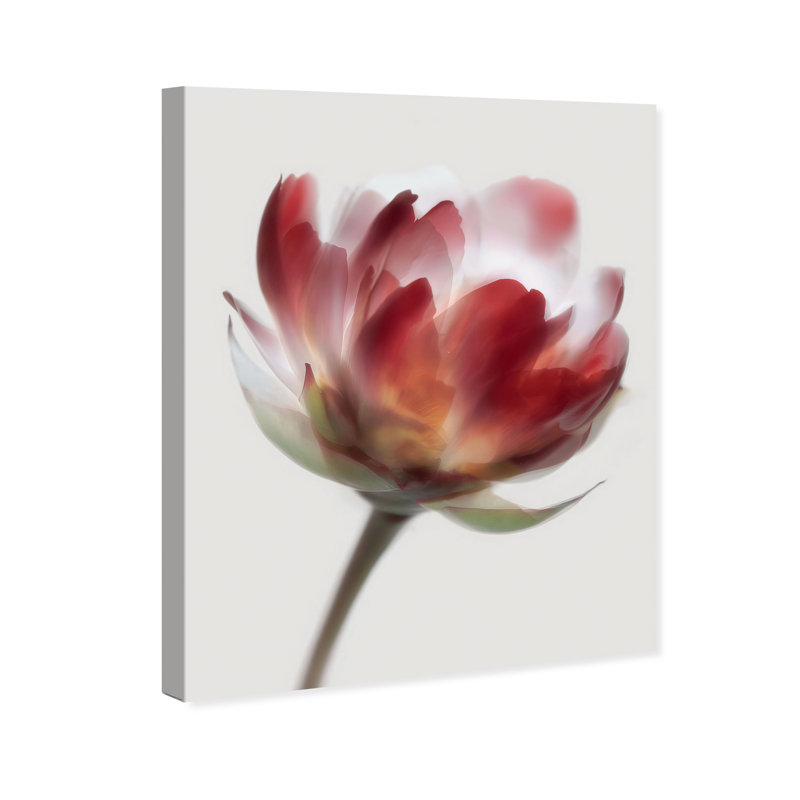 Crimson Core II Abstract Canvas Print by Oliver Gal, Black Frame, 16 x 20, 16"H x 20"W, Gallery Wrapped