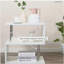 Table d'appoint moderne de 20 po, table d'appoint décorative, table basse en forme de S avec tablette de rangement et acier