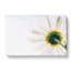 White Daisy Vol.1 - Wrapped Canvas-64082255