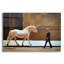Art mural en verre épique «The exception prouvant la règle» par Keith Thomson, 16 po x 12 po