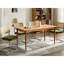 De 2 chaises de salle à manger de style Mid-Century moderne, rembourrage en velours olive, dossier en canne, base en acier inoxydable, conception en porte-à-faux pour coussin de soutien ferme, support naturel, longévité-132995357