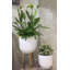 Mablethorpe Pot Planter