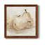 White Pear Study II - reproduction d'art sur toile encadrée-62718602-62718599