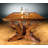 Extendable Solid Wood Dining Table