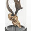 Deer Skull with Bel Glass Sculpture