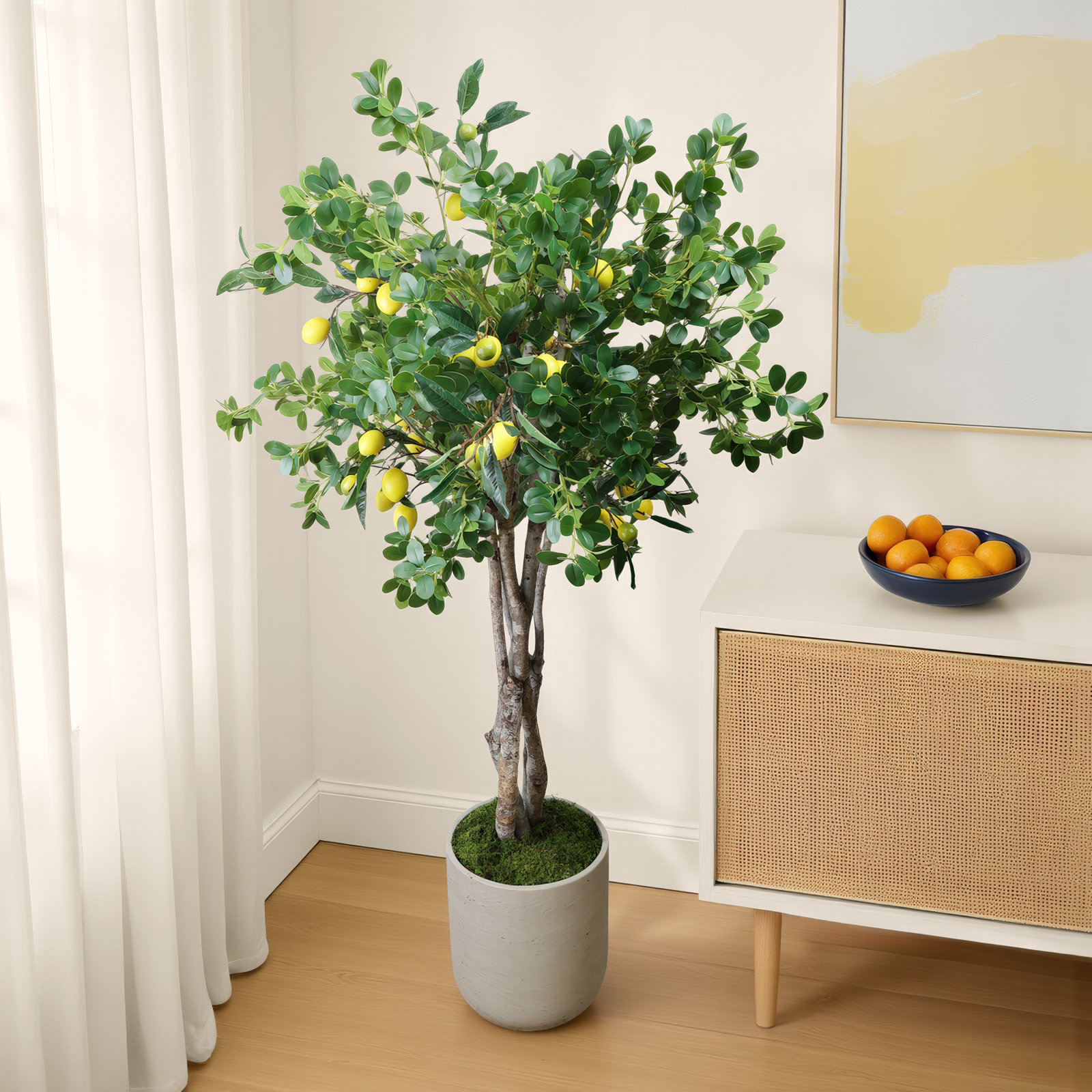 Lemon Tree in Fiberstone Pot