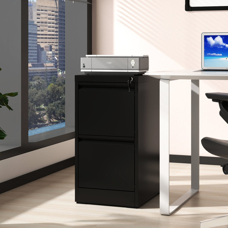 Classeur vertical en métal avec serrure - 2 tiroirs pour l'efficacité du bureau et de la maison, Noir