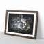 Cat Licking its Paw - Framed Print-56917440-56917445