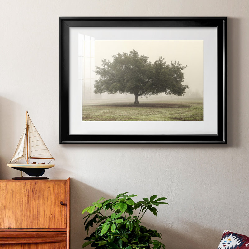" Trees In The Fog II ", Black Framed, 18.5" H x 24.5" W x 1" D, White