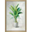 «Greenhouse Palm II», reproduction d'art-651223025-651223033