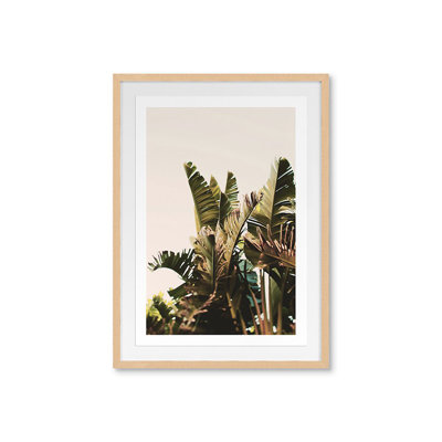 Equaltorial Print by Bock, Alicia