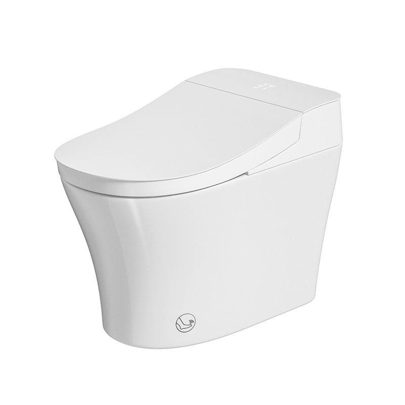 Toilette allongée une pièce avec toilette intégrée Smart One