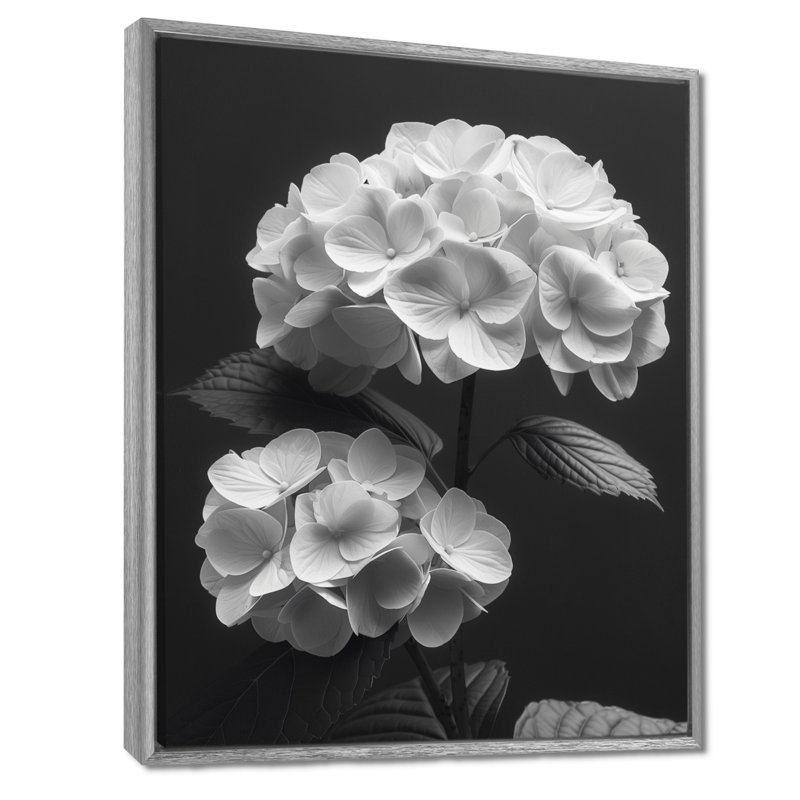 Décoration botanique monochrome hortensia I - hydrangées murales, Encadrement argenté, H 12 po x l 20 po