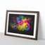 Multi-Coloured Rainbow Roses - Picture Frame Graphic Art Print-56862267-56862270