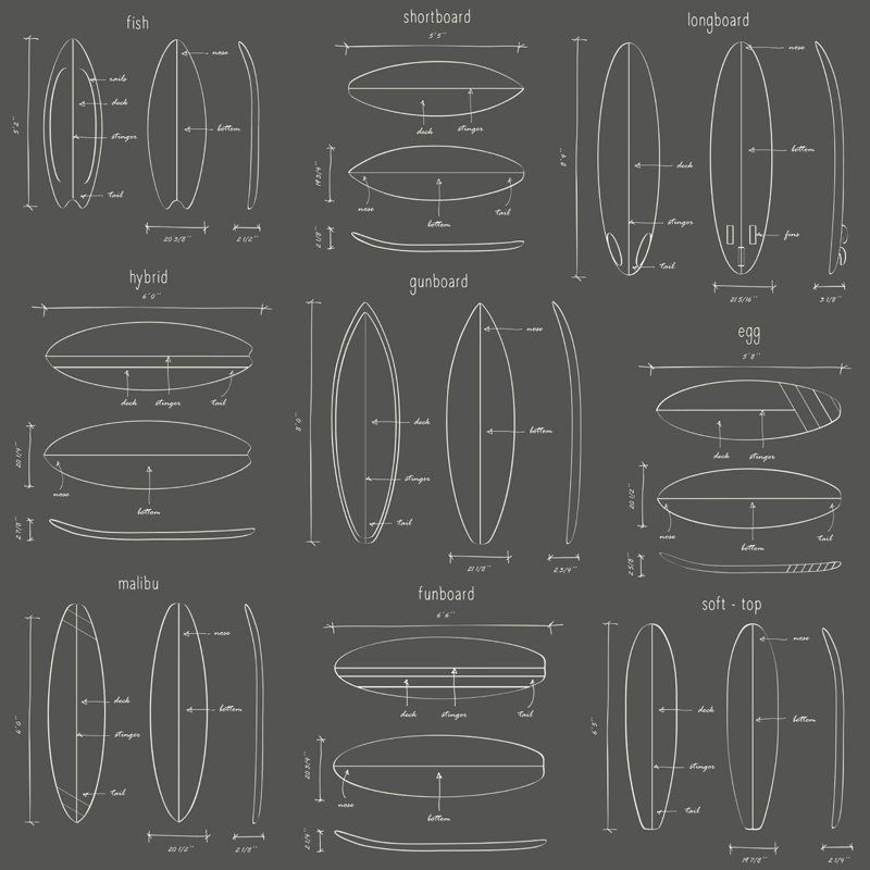 Darwin Roll