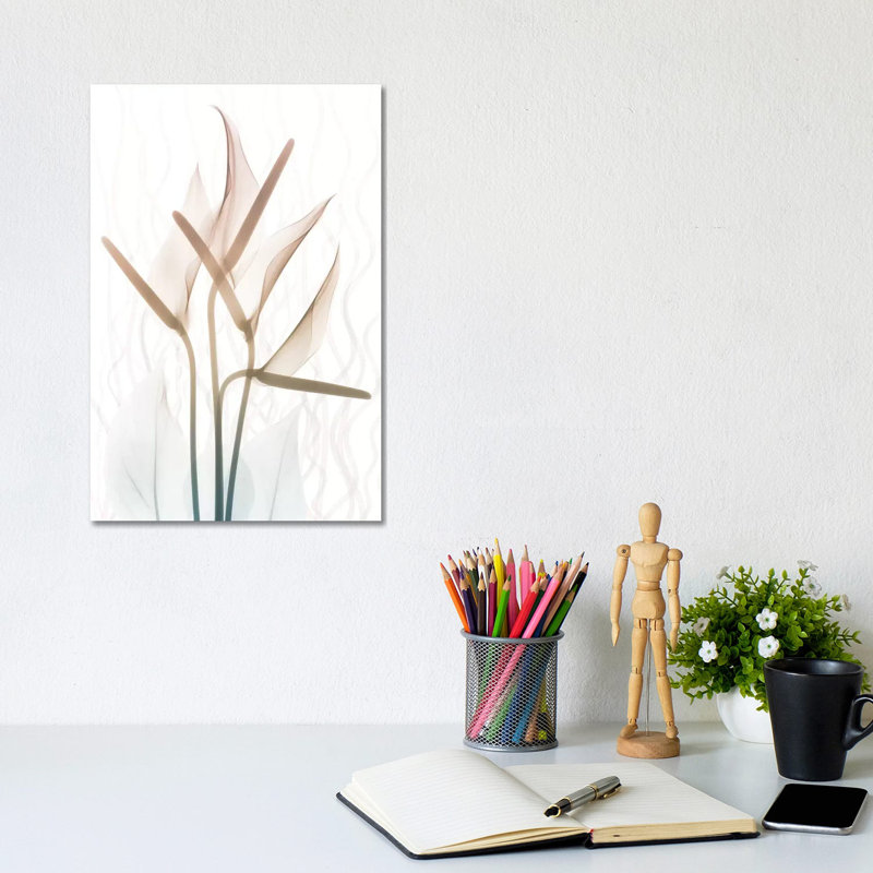 Toned Dawn II by Albert Koetsier - Wrapped Canvas Print, 20.32 cm H x 30.48 cm W