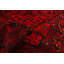 Tapis unique en laine noué à la main style Esari des années 2010 de 4 pi 1 po x 6 pi 3 po rouge Quantisha