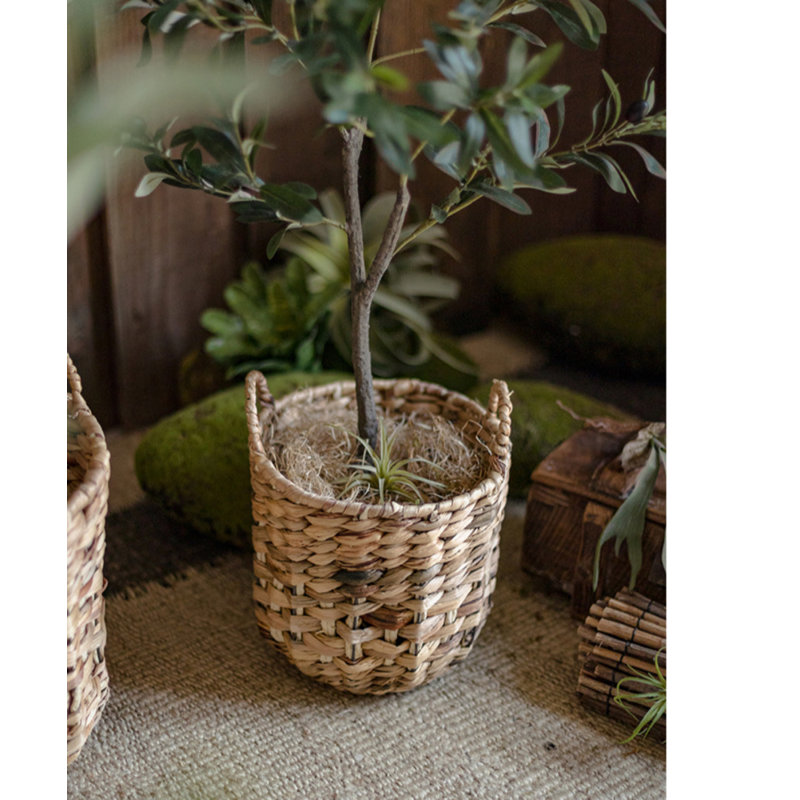 Bay Isle Home™ Wicker Box