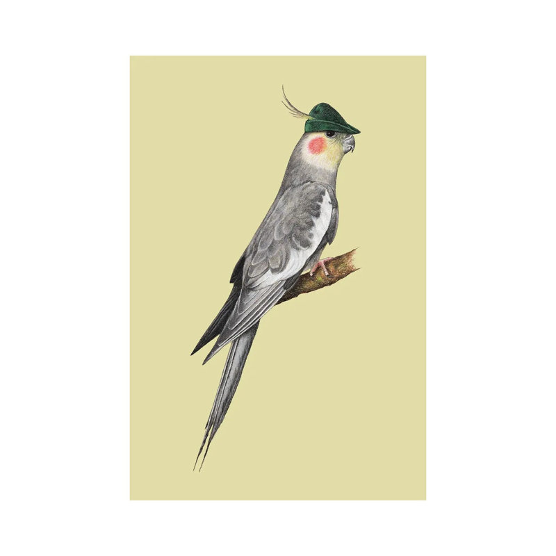 Cockatiel 1 Piece Wrapped Canvas Wall Art, 101.6 cm H x 66.04 cm W