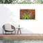 Paon bolognaise sur toile-98095739
