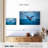 Pacific Humpback Whale-108842656