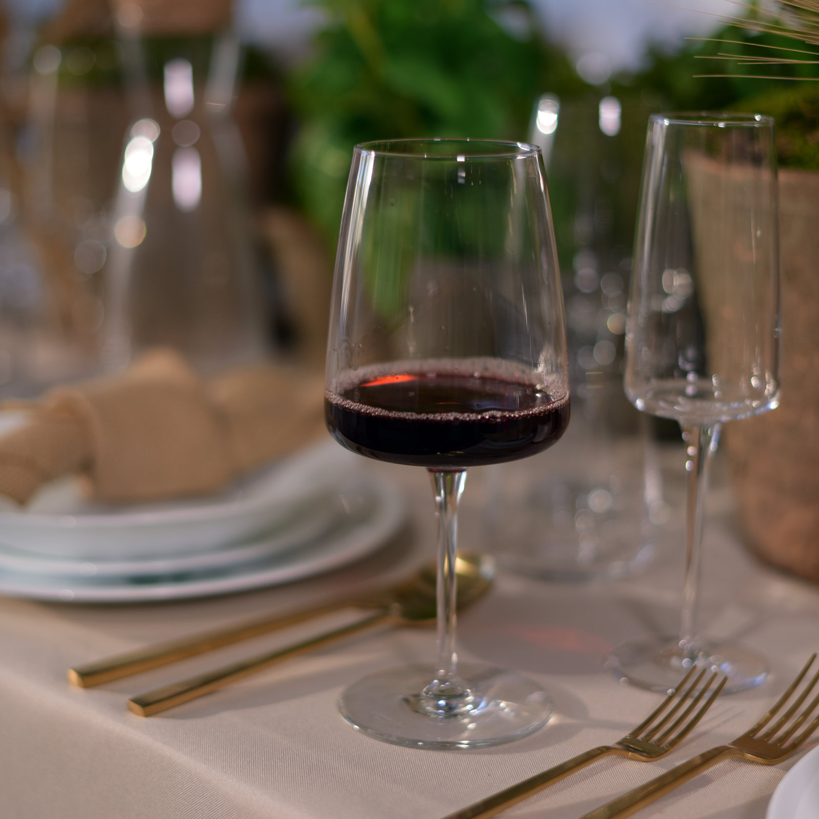Planeo Wine Glasses, 16.25 Oz
