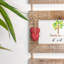 Nicola Spring - Hearts Hanging 3 Photo Frame - 6 x 4"-50946386