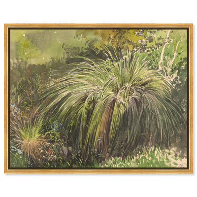 Meadow with Fountain Grass 