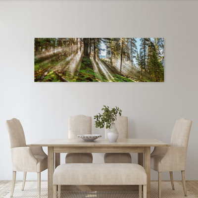 Sun Rays Passing Through Trees In Forest Southeast Alaska Alaska USA by Tom Sheckels - Wrapped Canvas Panoramic Print