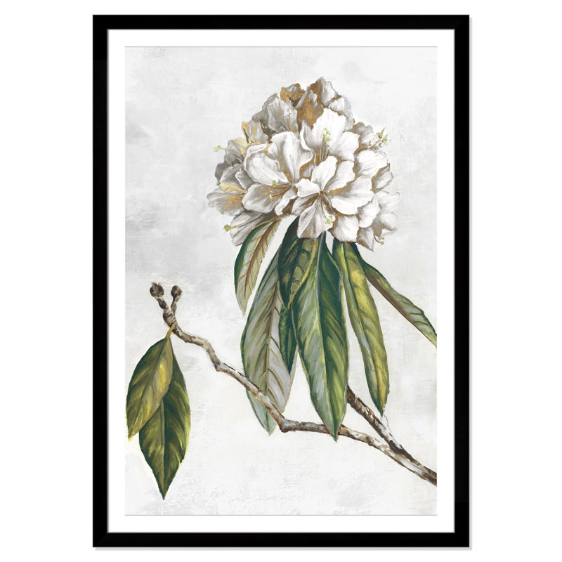 «Pearly Beauty II» par Eva Watts, L 39 po x H 55 po, Imprimé mat, Satin Black