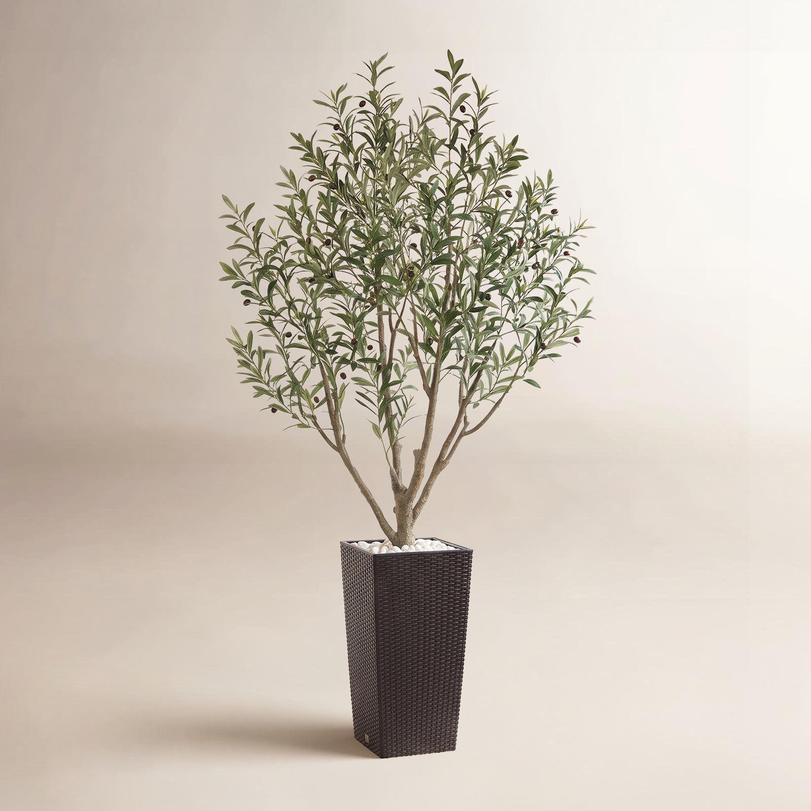 Adcock Olive Tree in Pot, Brown, 84" H x 28" W x 28" D
