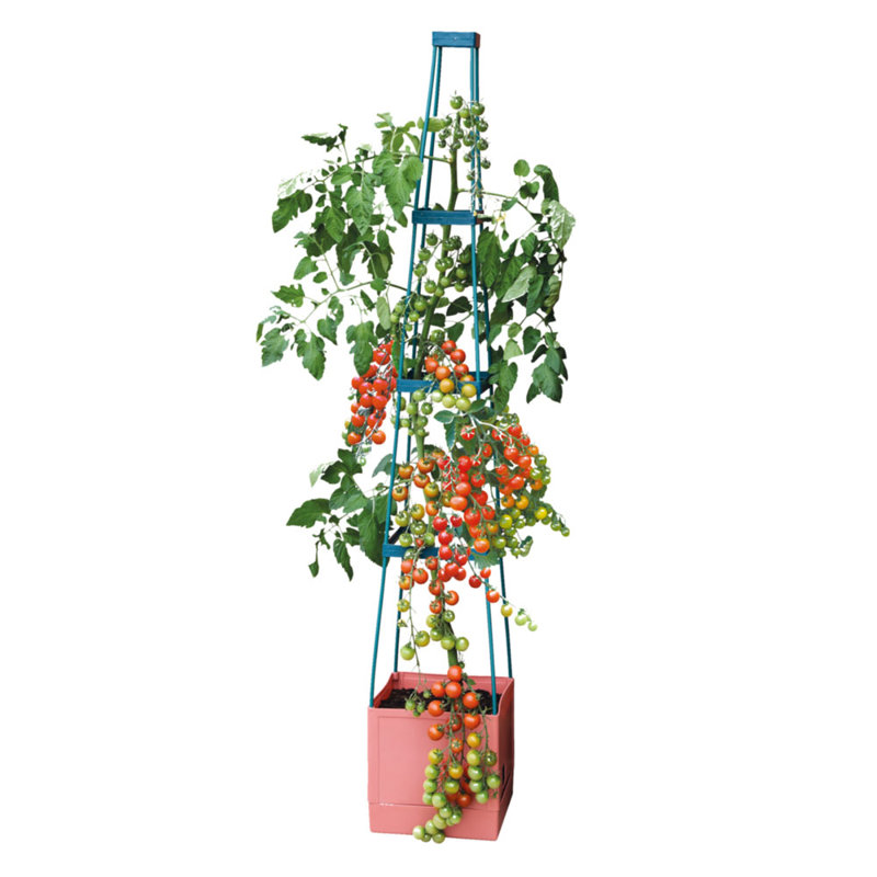 Brookhill Plant Pot Tomato Tower (x5), 5