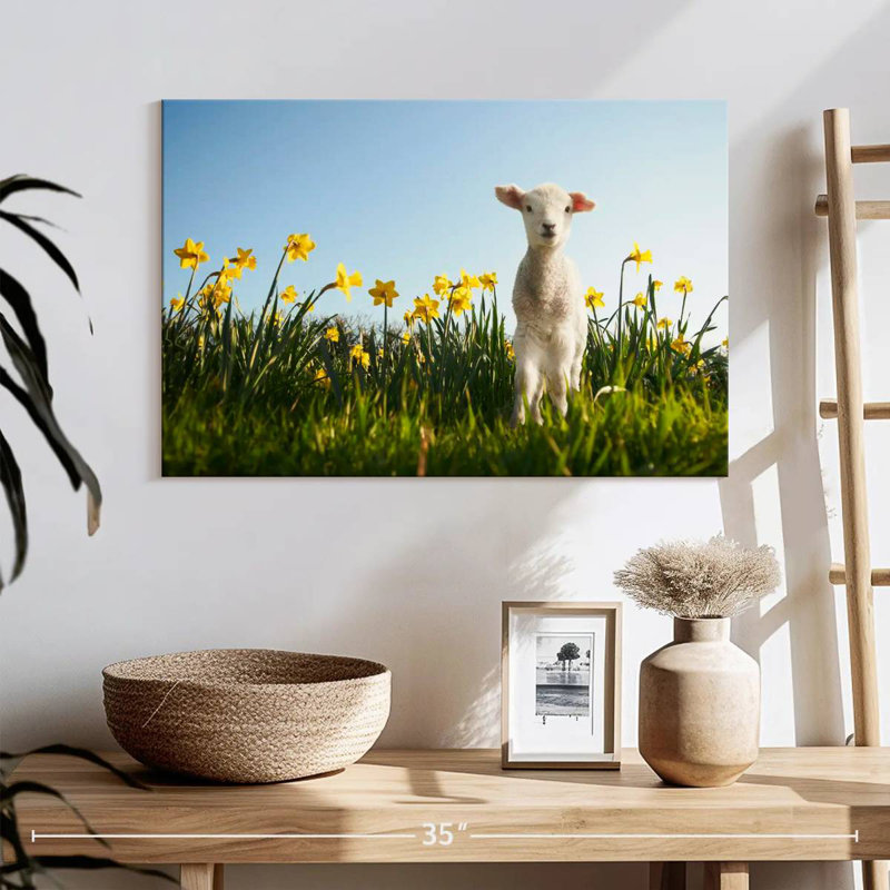 Brampt Springtime Lamb, 16" H x 24" W