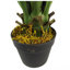 55cm Faux Yucca Tree in Pot Liner