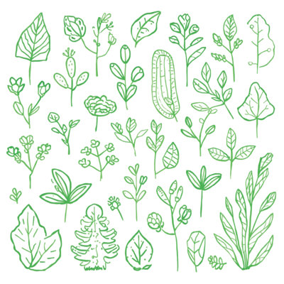Tapis de bain Green Botanical Illustration