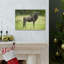 No Frame Print on Canvas-874145331