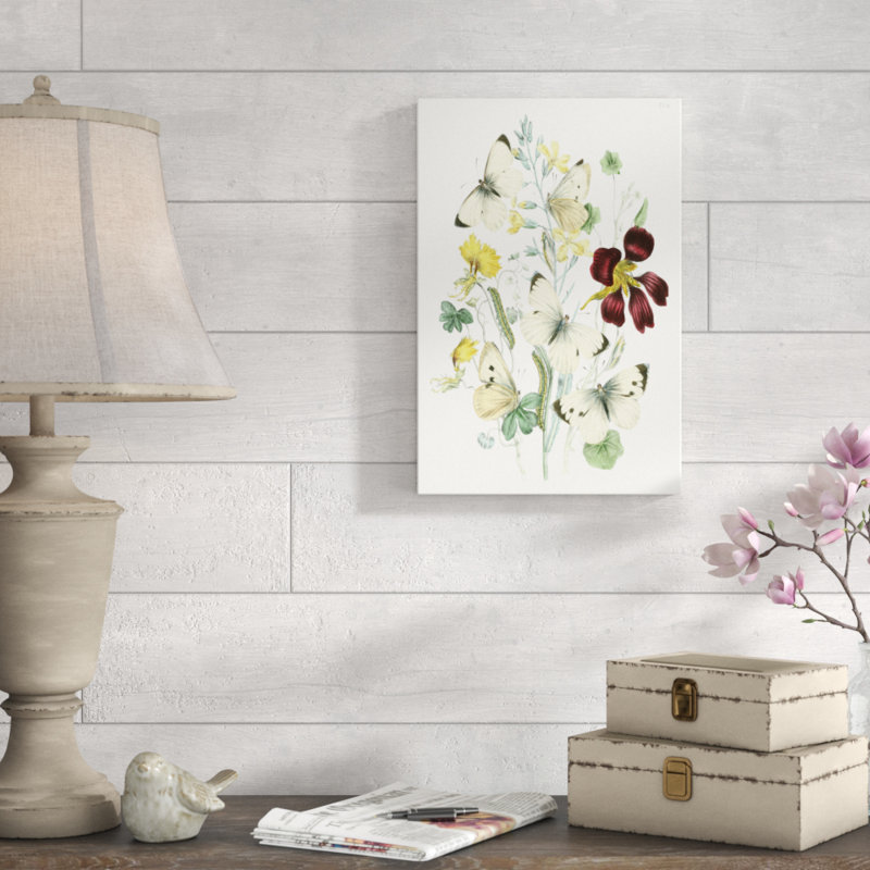 British Butterflies IV - Painting Print, 46cm H x 30cm W, Wrapped Canvas