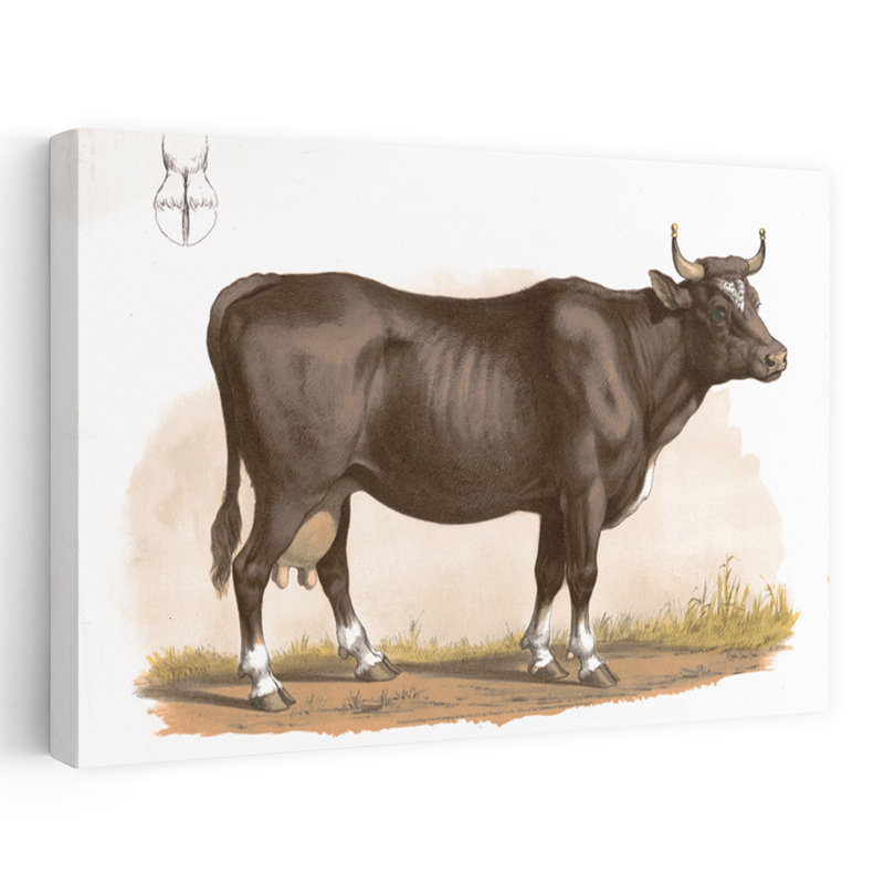 Clarabelle, art contemporain de la vache, H 16 po x l 24 po