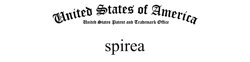 spirea logo