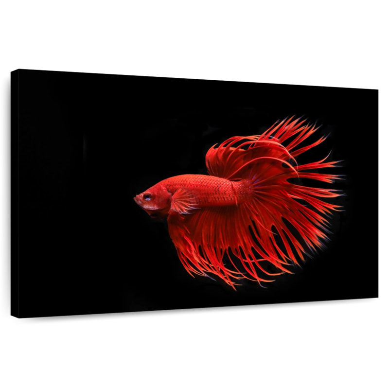 Grandiose Red Betta Fish, 32" H x 48" W