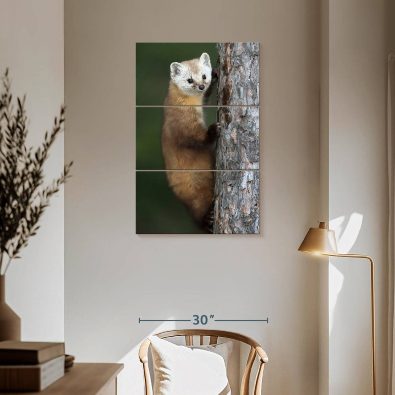 Brampt Wild American Marten