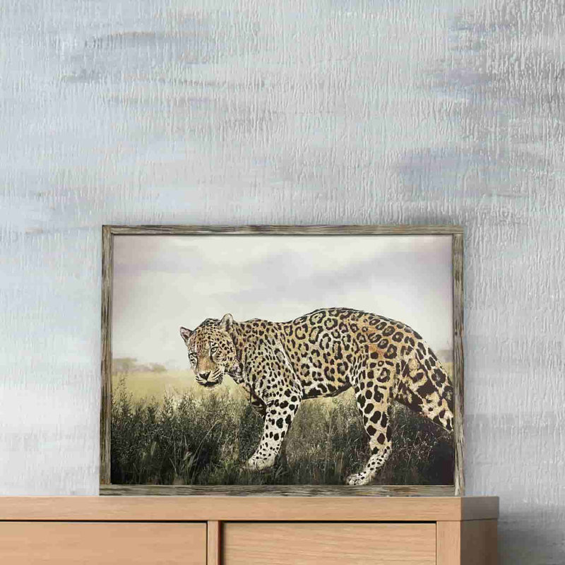 Le Jaguar dans l'herbe - reproduction sur toile tendue, H 12 po x l 16 po x P 1 po