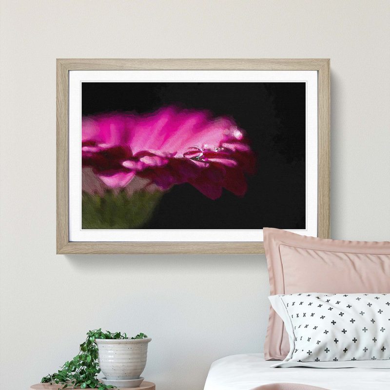 Pink Gerbera Flower - Picture Frame Painting Print, 36cm H x 48cm W x 2cm D, Oak Framed