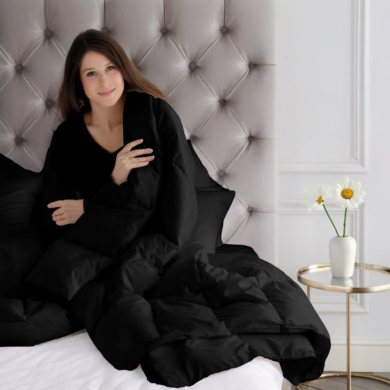 All Season Down Alternative Comforter Microfiber Duvet Insert with Corner Tabs, King, Black