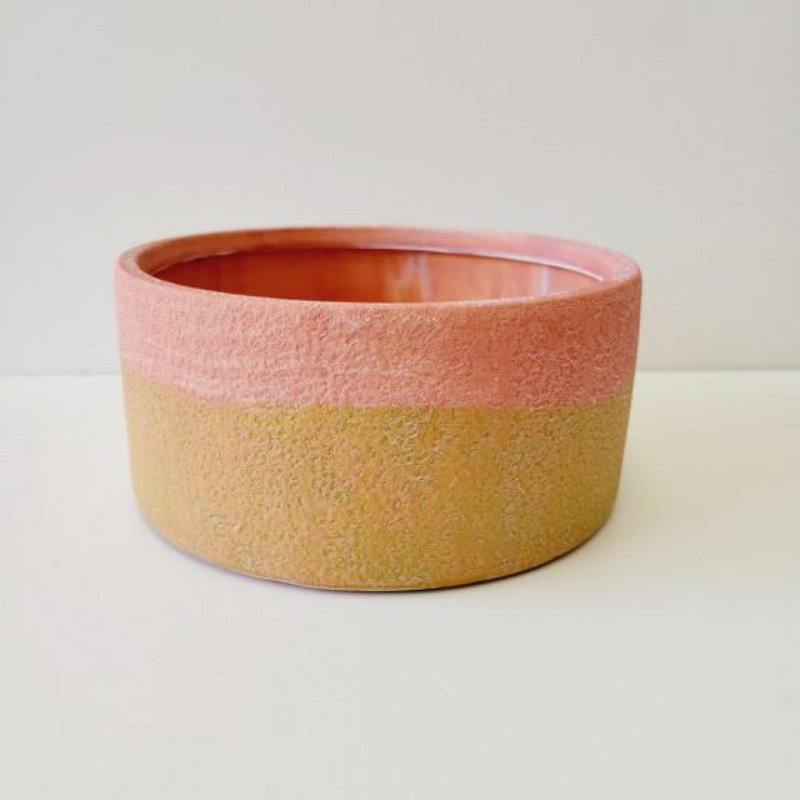 Pink And Beige Terracotta Pot Planter